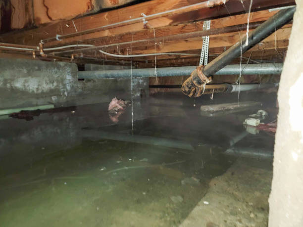 Best Emergency water damage restoration  in Lebanon, PA