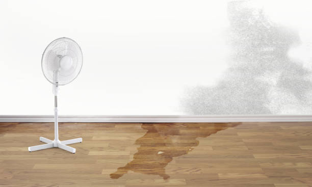 Best Residential water damage restoration  in Lebanon, PA