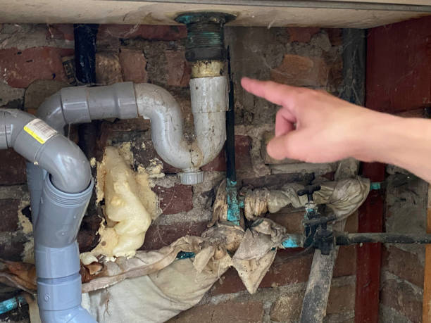 Best Mold removal after water damage  in Lebanon, PA